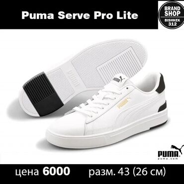 Кроссовки и спортивная обувь: Мужские кроссовки, 43, Puma, Новый, цвет - Белый, Самовывоз, Платная доставка