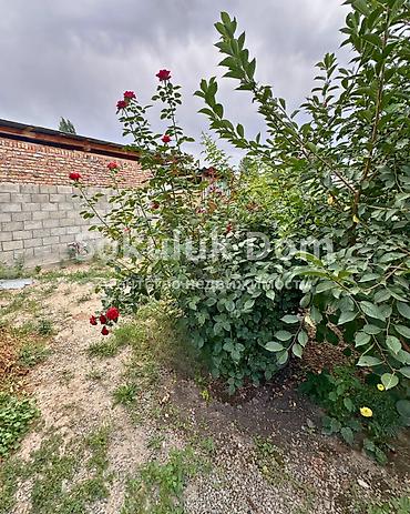 the level: 🏠Продается дом в с. Сокулук 🟡Комнаты: 3 🟡Участок: 5 соток 🟡Отопление — 3