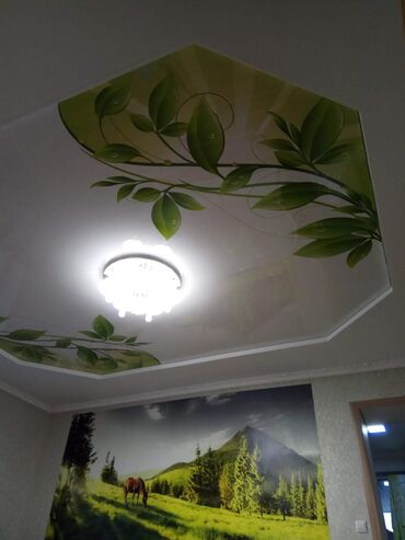 Натяжной потолок: Натяжной потолок 3D потолки, Глянцевое, Матовое Бесплатный замер, Гарантия, Бесплатная консультация — 19