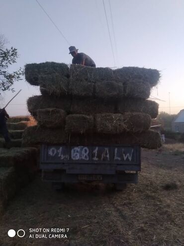 купить запчасти опель омега б: Жеңил жүк ташуучу унаа