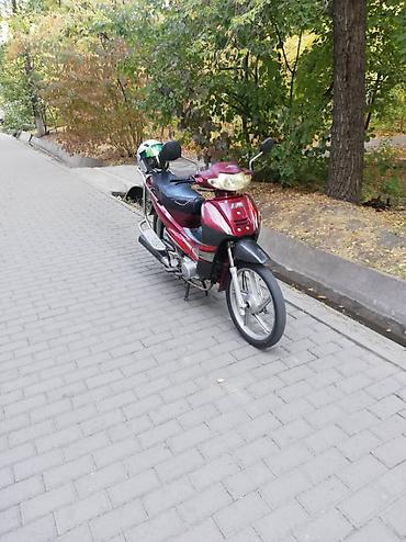 мапед карпаты: Продаётся компактный мопед в классическом городском исполнении — 2