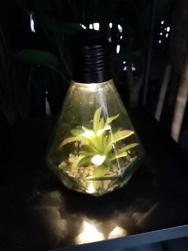 silvercrest mini rerna: VELIKA SIJALICA SA VESTACKOM BILJKOM NOVA LED LAMPA AKCIJA | Cene — 4