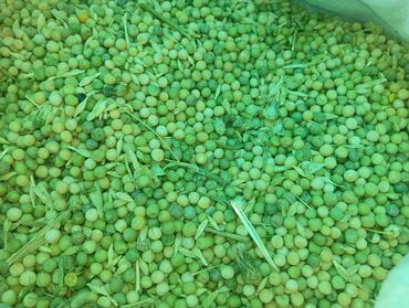 дом для животных: Горох сухой (кормовой/крупный), рассыпью. Описание: - Зерно гороха