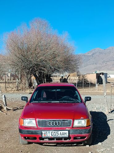 Audi: Audi 100: 1992 г., 2 л, Механика, Бензин, Седан — 1