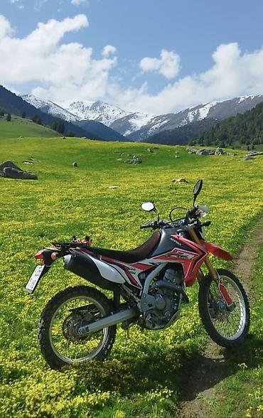 crf 300 rally: Эндуро Honda, 250 куб. см, Бензин, Взрослый, Б/у — 1
