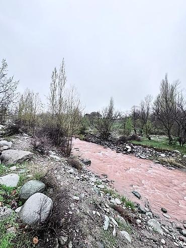 Продажа дач: Продается Дача круглогодичная !!! 5 соток «Красная гвоздика « С — 4