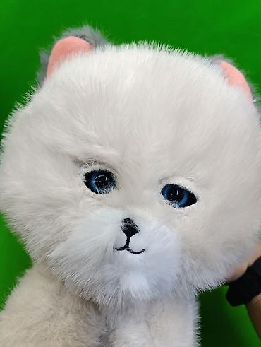 котенок белый купить: 🐱 Интерактивные плюшевые игрушки — котёнок и щенок! 🐶💕 Невероятно — 5