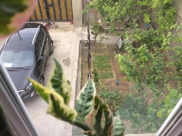 Həyət evləri və villaların satışı: 3 otaqlı, 112 kv. m, Orta təmir — 6