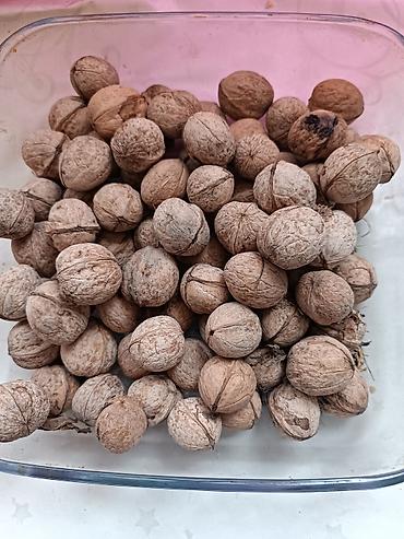 Чукума. Продаю грецкие орехи, 2 мешка, вкусные, село АК Жол, пост ГАИ at lalafo.kg Чукума. Продаю грецкие орехи, 2 мешка, вкусные, село АК Жол, пост ГАИ