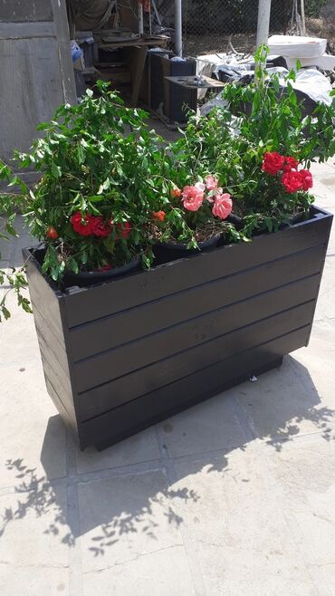 Bitkilər üçün dibçəklər: Dibceklər hər ölcüdə hər zövgə #dibceklər kafe ofis hryitcin zamanətlə — 8