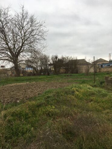 şamaxıda satılan evlər əmlak az: 6 sot, Kənd təsərrüfatı, Mülkiyyətçi, Kupça (Çıxarış)