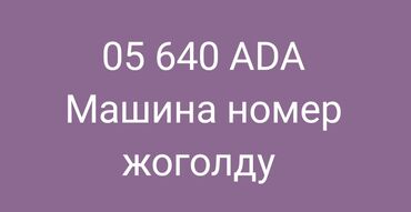 объявления о найденных животных: Бюро находок