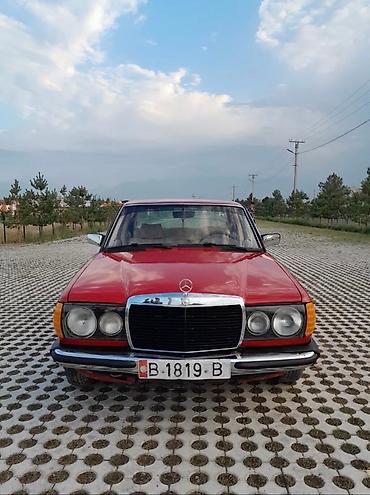на мерс 123: Mercedes-Benz W123: 1981 г., 2 л, Механика, Дизель, Седан — 6