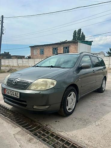 ветровик тойота ист: Toyota Corolla: 2004 г., 1.6 л, Механика, Бензин, Универсал — 1