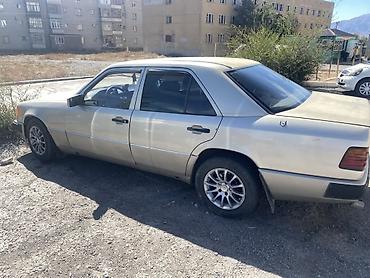 Mercedes-Benz 220: 1989 г., 2.3 л, Механика, Бензин, Седан
