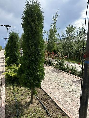 Гостиницы, отели (Посуточная аренда комнат): Просторный номер/апартамент с панорамным остеклением в малоквартирном — 11