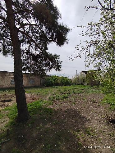 Продажа домов: Полдома, 92 м², 4 комнаты, Собственник, Косметический ремонт — 2