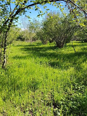 Torpaq sahələrinin satışı: 20 sot, Tikinti, Mülkiyyətçi, Kupça (Çıxarış) — 17
