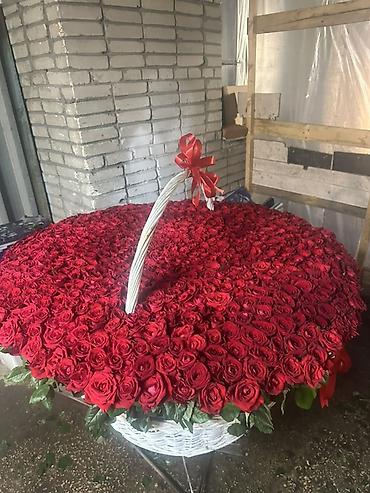 бесконечные розы: Огромная корзина из красных роз - Состав: сотни свежих красных роз — 2