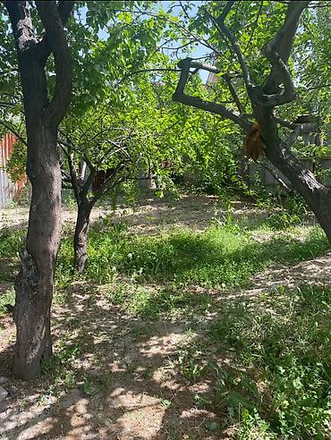 Продажа участков: 9 соток, Для строительства, Договор купли-продажи, Красная книга, Тех паспорт — 1