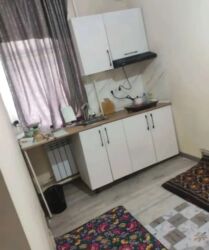 снять дом иссык куль: 1 бөлмө, Риелтор, Чогуу жашоосу жок, Жарым -жартылай эмереги бар