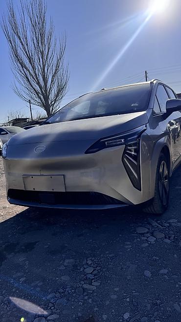 GAC: Электромобиль GAC Aion Y (кросс-вэн/компактный SUV) Запас хода 510 - — 3