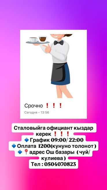 повара на дому: Талап кылынат Официант Тажрыйбасыз, Төлөм Күнүмдүк