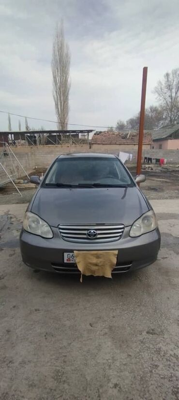 тойоту кэмри: Toyota Corolla: 2004 г., 1.8 л, Автомат, Газ, Седан