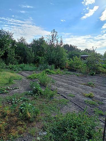 ош области: Продаю большой дом из 6комнат с условиями есть 2комнт времянка во — 7