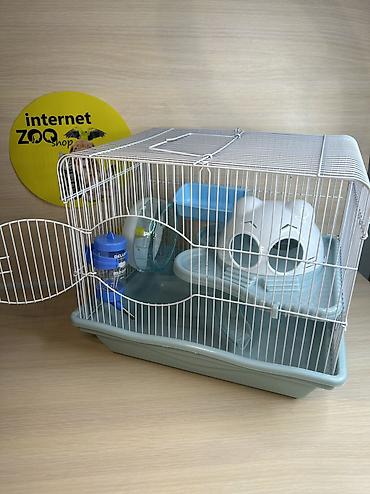 Хомяки: Продаются хомячки джунгарские, сирийские, ангорские пушистые хомячки — 27