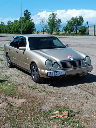 купить шампиньоны: Mercedes-Benz E-Class: 1995 г., 2.3 л, Механика, Бензин, Седан