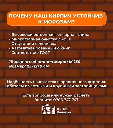 солон: Пустотелый, дырчатый, Жженый кирпич — 2