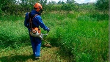 риэлторские услуги: Покос травы и газона