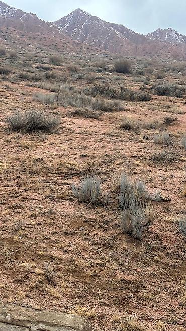 Продажа участков: 100000 соток — 5