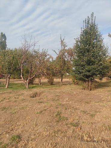 7 соток, Курулуш, Кызыл китеп lalafo.kg да — 10 7 соток, Курулуш, Кызыл китеп — 10