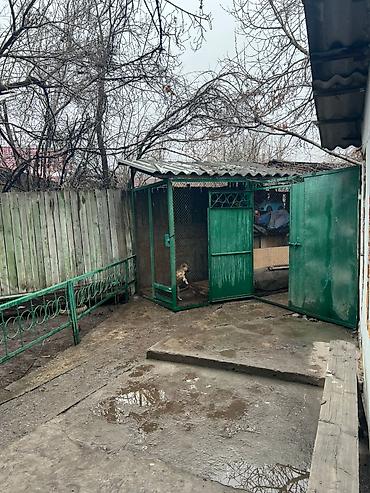 Продажа домов: Полдома, 75 м², 3 комнаты, Собственник, Старый ремонт at lalafo.kg — 17 Продажа домов: Полдома, 75 м², 3 комнаты, Собственник, Старый ремонт — 17