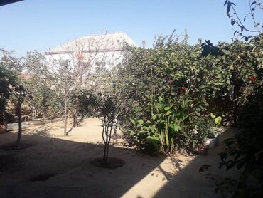 Kommersiya daşınmaz əmlakının satışı: Bineqedide merkeze yaxin bagli-bagcali 5 sotda 5 otaqli 130 kvm