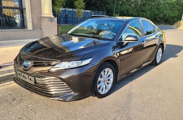 камри ручка: Toyota Camry: 2021 г., 2.5 л, Вариатор, Гибрид, Седан