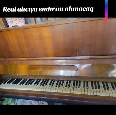 Trkn🌻pianino
80 Azn
Ünvan Maştaga
Kod 2458 lalafo.az -da Trkn🌻pianino
80 Azn
Ünvan Maştaga
Kod 2458