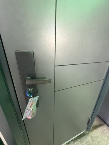 двери для подъезда с домофоном: Входная металлическая дверь с современным гладким полотном и