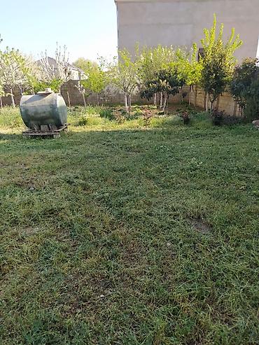 2 sot nece kv metrdir: 7 sot, Kənd təsərrüfatı, Kupça (Çıxarış) — 2