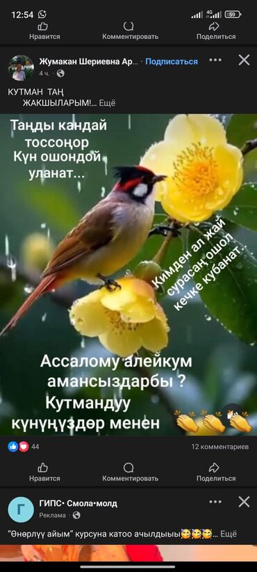 сколько стоит букет из бабочек: Цифровое изображение/открытка для соцсетей “Доброе утро” на кыргызском