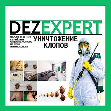 Дезинфекция, дезинсекция, | Клопы, | Транспорт, Офисы, Квартиры at lalafo.kg Дезинфекция, дезинсекция, | Клопы, | Транспорт, Офисы, Квартиры