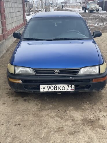 машину тайота: Toyota Corolla: 1996 г., 1.3 л, Механика, Бензин, Седан