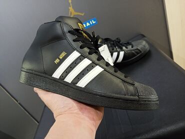 спортивный костюм adidas originals мужской: Оригинальные кроссовки Adidas Pro Model Superstar размер 42