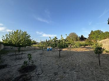 torpaqla: 28 sot, Tikinti, Mülkiyyətçi, Kupça (Çıxarış) — 6