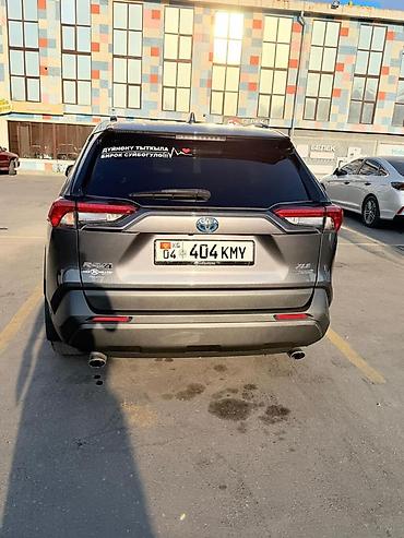 спринтер 2019: Toyota RAV4: 2019 г., Гибрид, Кроссовер — 2