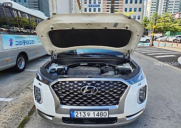 Hyundai: Hyundai Palisade: 2022 г. — 19