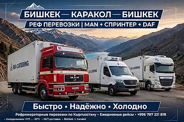 hd 78: Сдаю рефрижератор Mercedes-Benz Sprinter, Посуточно — 1
