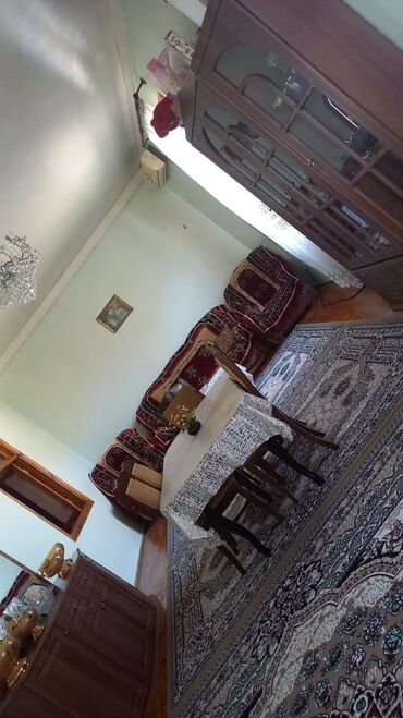 Həyət evləri və villaların satışı: Həyətyanı ev – geniş sahəli, meyvə bağı və tam infrastrukturlu - — 7